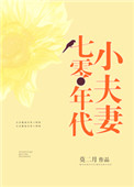 七零年代小夫妻小说封面
